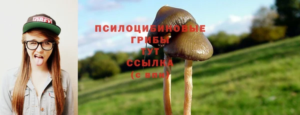 spice Волоколамск