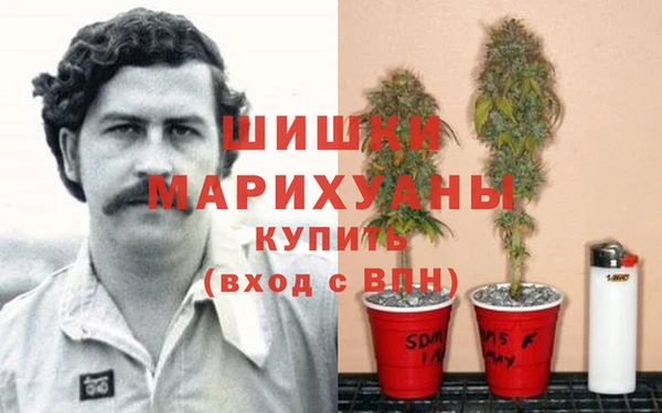 прущая мука Верея