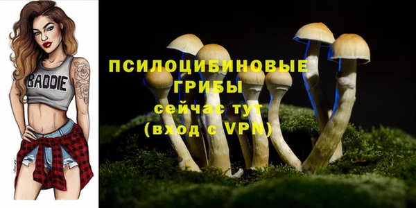 мдпв Верхнеуральск