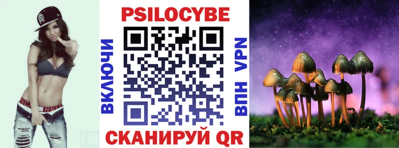 нарко площадка клад  Жуковский  Псилоцибиновые грибы Magic Shrooms 